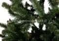 DSC_1606.jpg