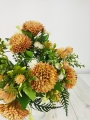 IMG_20240719_093316.jpg