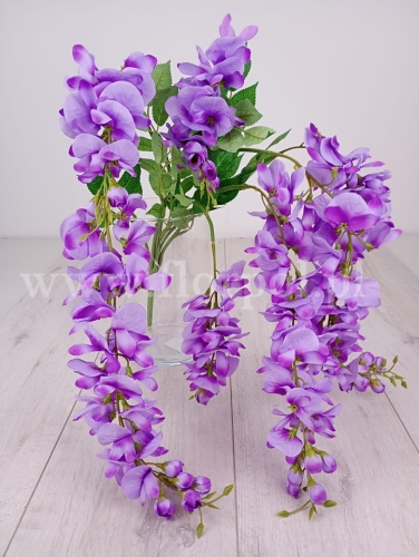 wisteria - bukiet 1szt fiolet (AK78)