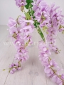 wisteria 4781.jpg