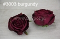 9644c0b17cd3f298c6bc44081168736a