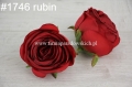 bdb4da27902945cd0cc7ff9751add5b3