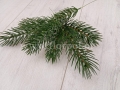 świerk_sztuczna_gałązka_6122.jpg