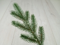 florpol.live6361.jpg