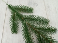 florpol.live6362.jpg