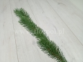 florpol.live6357.jpg