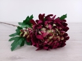 84ec37d20cdae4c9150b86bfd2195b2a