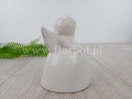 hurtownia florystyczna 9049.jpg
