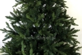 fresh_green_ 4.jpg