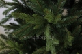 fresh_green_ 1.jpg