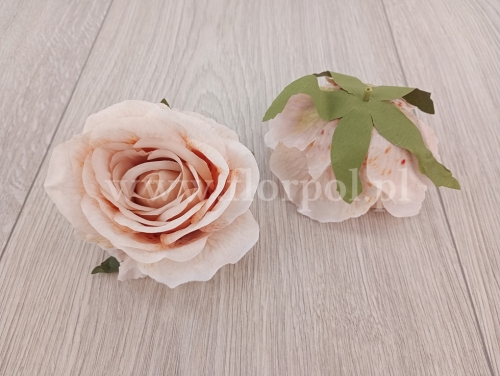 róża cieniowana wyrobowa 12szt #131 krem (VIP6346/KL)