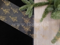 florpol.live 10111.jpg