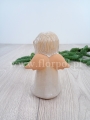 florpol.live 10182.jpg