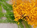 hurtownia florystyczna 10311.jpg
