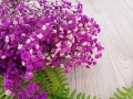 hurtownia florystyczna 10312.jpg