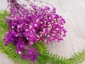 hurtownia florystyczna 10313.jpg