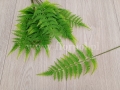 7c5e92debb0a0112a6698e180303425e