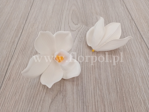 a8197bc388eb65b6c7cc730a157cca76