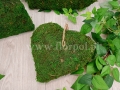 florpol.live 12782.jpg