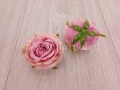 8ed7ea9eda454a76eba034158f99f610
