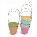 florpol.live 12943.png