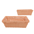 florpol.live  12905.png
