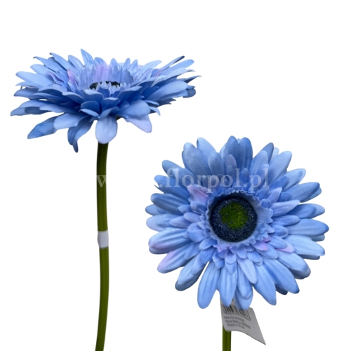 Gerbera łodyga 6szt #2935 lt blue (SUN529)