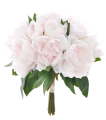 IMG_1192.png