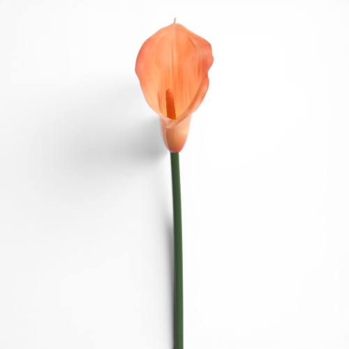 kalla gumowa 1szt orange 36S (ANA1013)