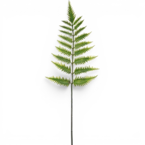 liść paproci 12szt green (TIK122)