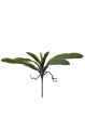 SUN553##GREEN_m.jpg