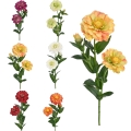 IMG_2724-Photoroom.jpg