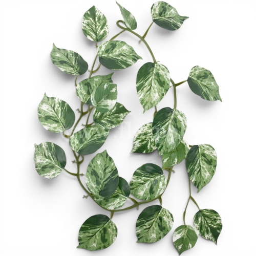 Girlanda filodendron 1szt green/white (ART IVY06)
