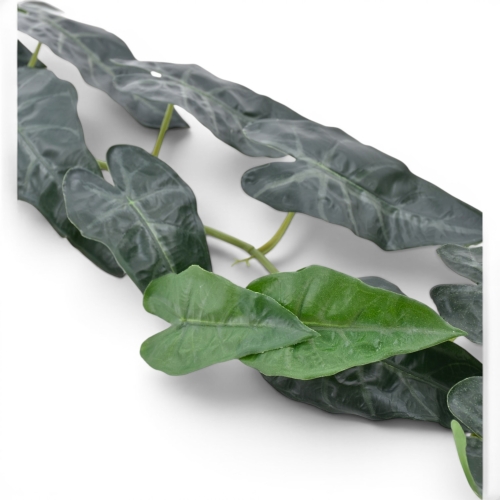Girlanda alokazja 1szt dr.green (ART IVY11)