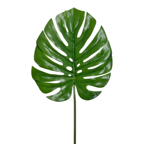 Liść monstera 12szt lt.green (GREE001)