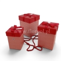 flower box 13496.jpg