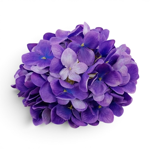 hortensja cieniowana 1szt purpura (CHQ08)
