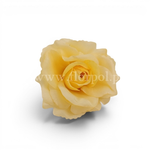 Róża wyrobowa otwarta Sonia 12szt #XYYE383 T.T.YELLOW