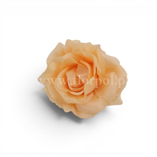 Róża wyrobowa otwarta Sonia 12szt #XYPE319 APRICOT