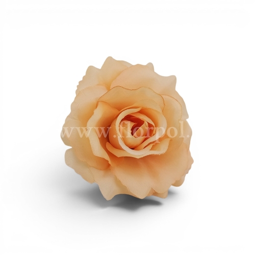 afec49a28db4020b7880cee8d19aca78