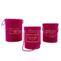flower box 13710.jpg