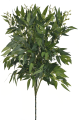 LIU388##DR GREEN_m.jpg