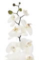 SUN878##WHITE#4_m.jpg