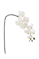 SUN878##WHITE#3_m.jpg