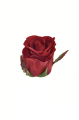 SUN412#2137#RED BLACK_m.jpg