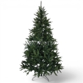 fresh green13765.jpg