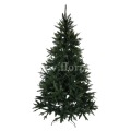 fresh green13762.jpg