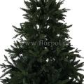 fresh green13763.jpg