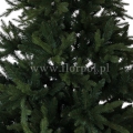 fresh green13764.jpg