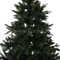 fresh green13767.jpg